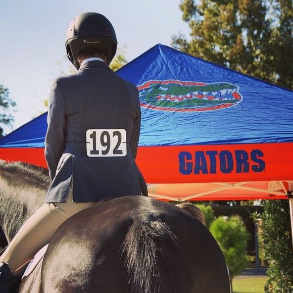 Meet your Posher, Brittany - Picture 1 of 1